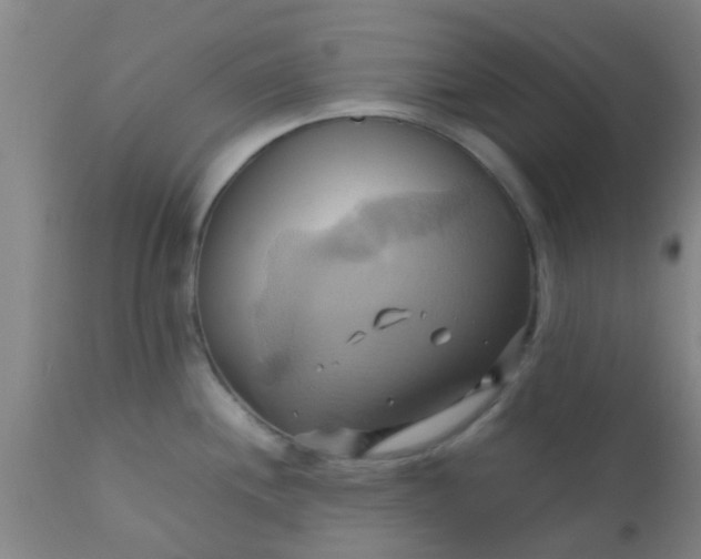 X0000110971244200907022237