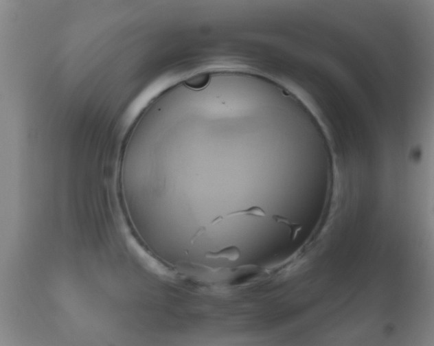 X0000110971245200907022237