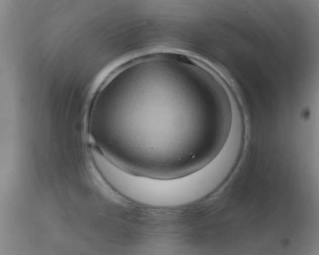 X0000110971246200907022237