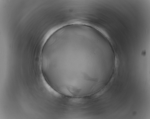 X0000110971247200907022237