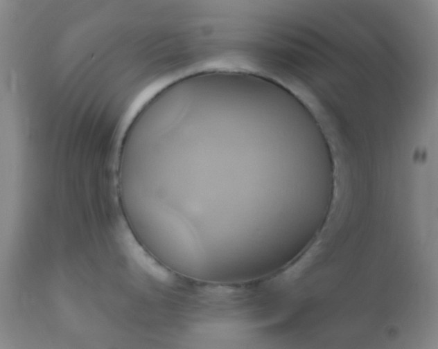 X0000110971248200907022237