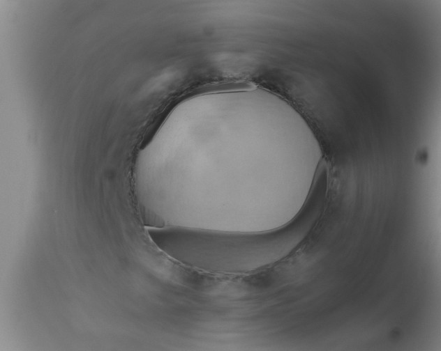 X0000110971249200907022236