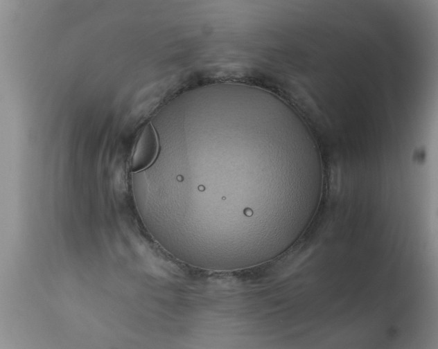 X0000110971250200907022236