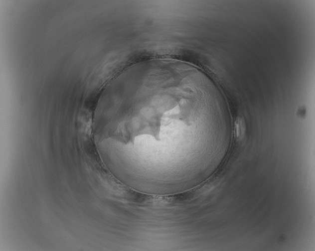 X0000110971251200907022236