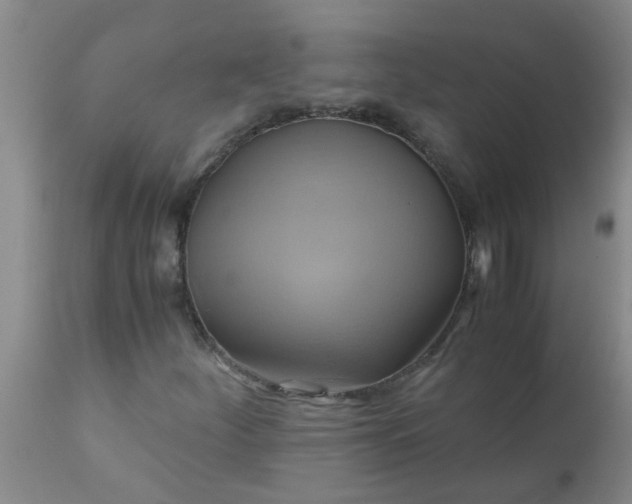 X0000110971252200907022236