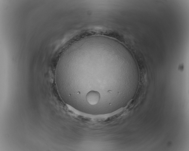 X0000110971253200907022236