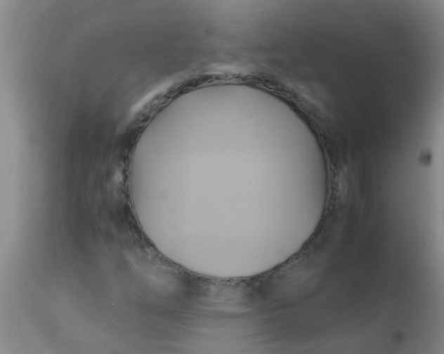 X0000110971254200907022236