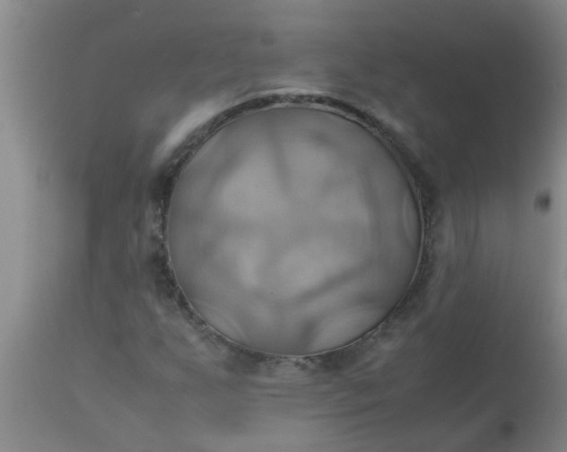 X0000110971255200907022236