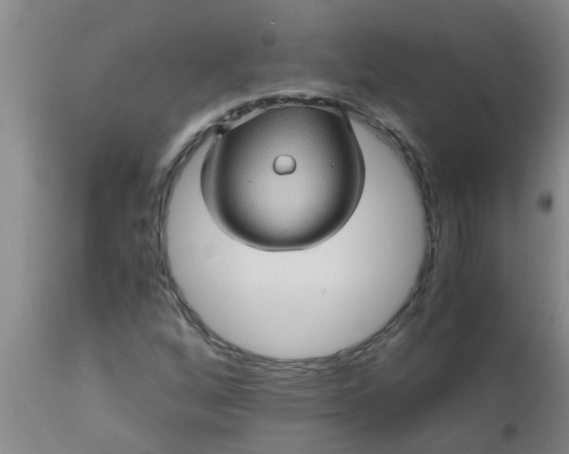 X0000110971256200907022236