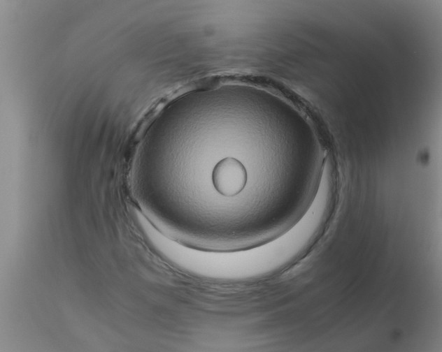 X0000110971257200907022236