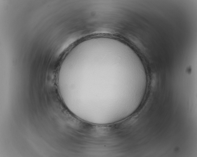 X0000110971258200907022236