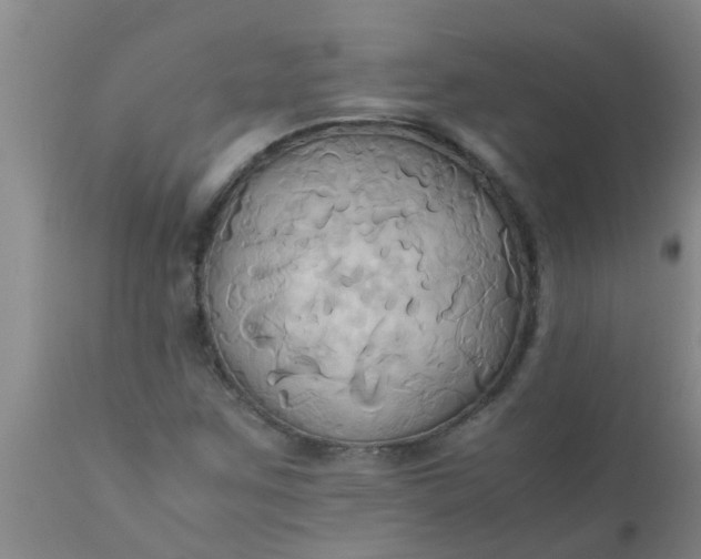 X0000110971259200907022236