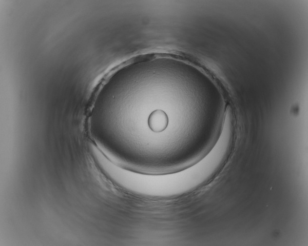 X0000110971260200907022236