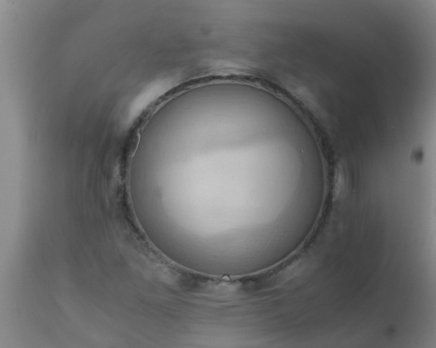 X0000110971261200907022236