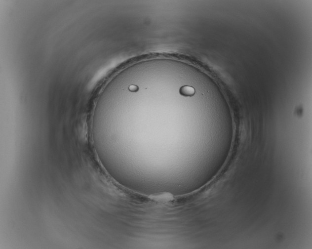 X0000110971262200907022236