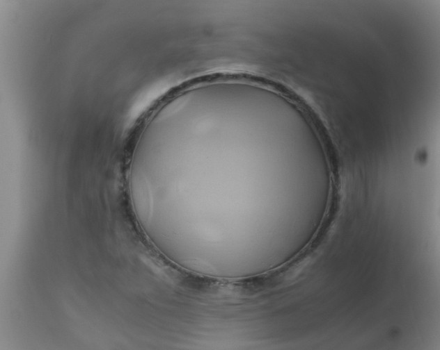 X0000110971263200907022236