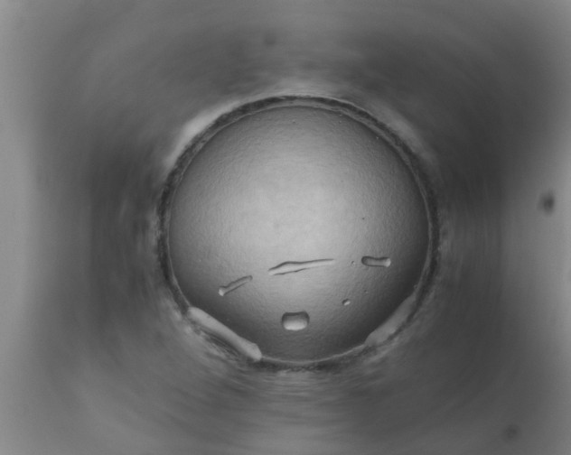 X0000110971264200907022236