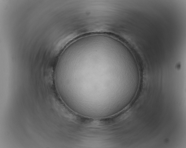 X0000110971265200907022236