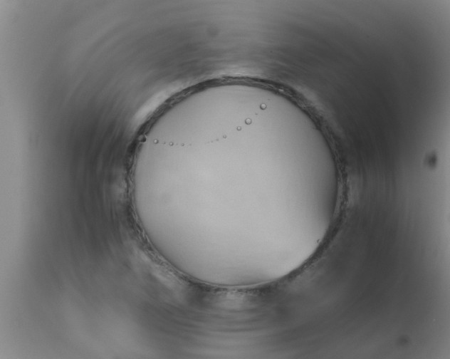 X0000110971266200907022236