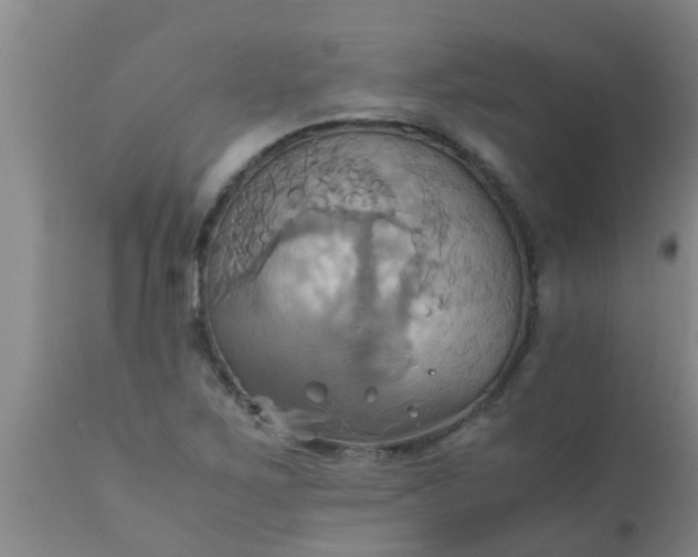 X0000110971267200907022236