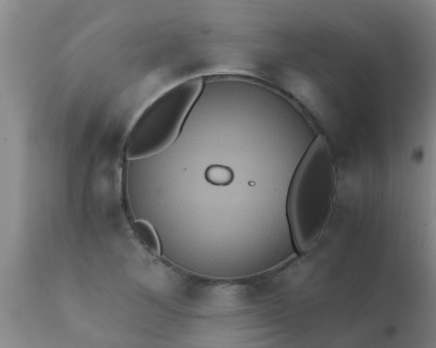 X0000110971268200907022236