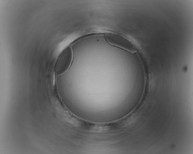 X0000110971269200907022236