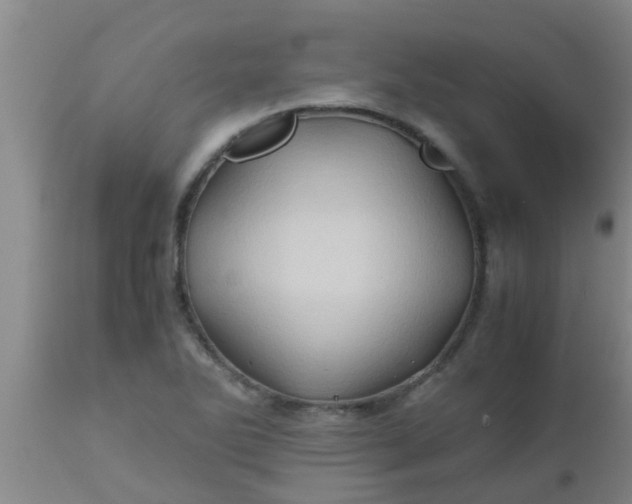 X0000110971270200907022236