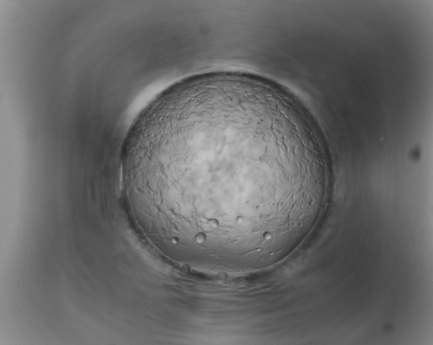 X0000110971271200907022236