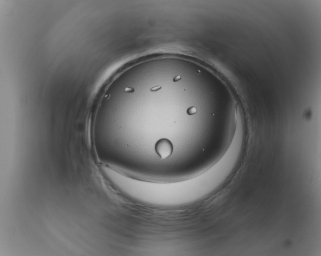 X0000110971272200907022236