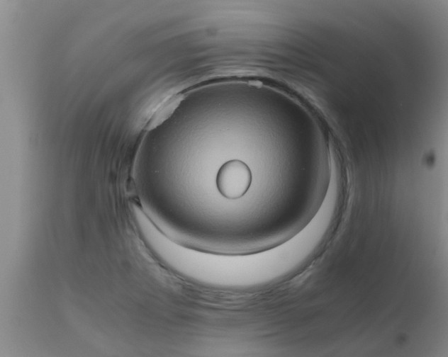 X0000110971273200907022236