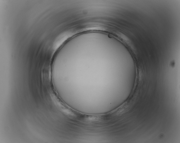 X0000110971274200907022236