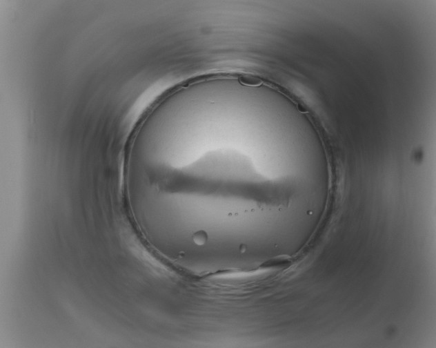 X0000110971275200907022236