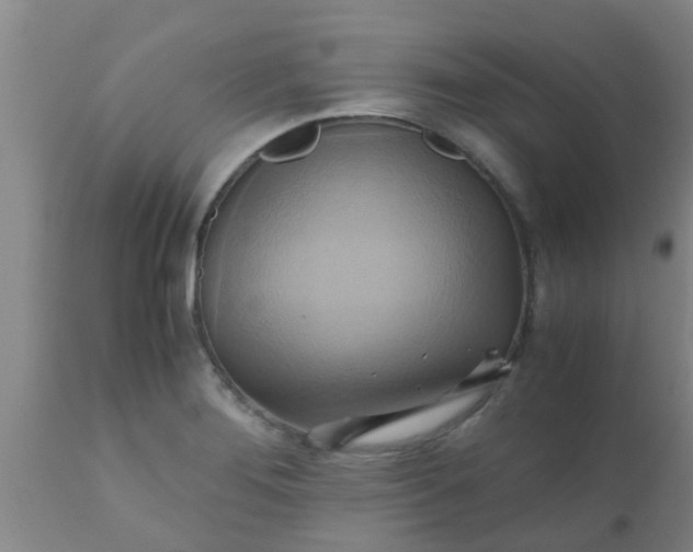 X0000110971276200907022236