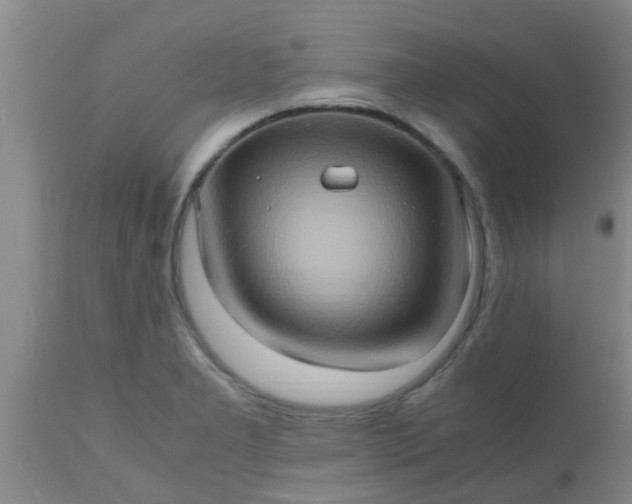 X0000110971277200907022236