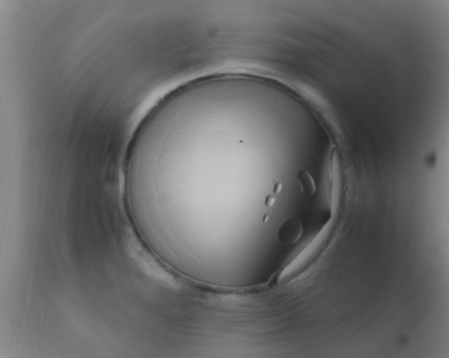 X0000110971280200907022236