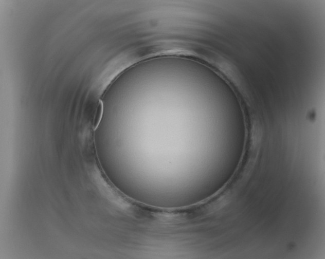 X0000110971281200907022236