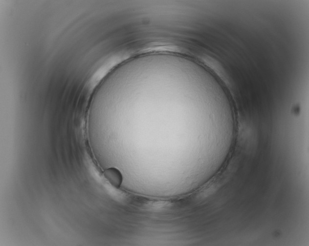 X0000110971282200907022236