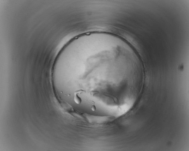 X0000110971283200907022236