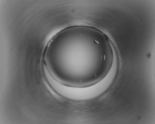 X0000110971285200907022236