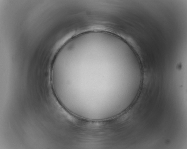 X0000110971286200907022236