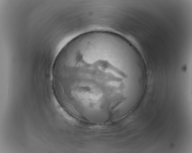 X0000110971287200907022236