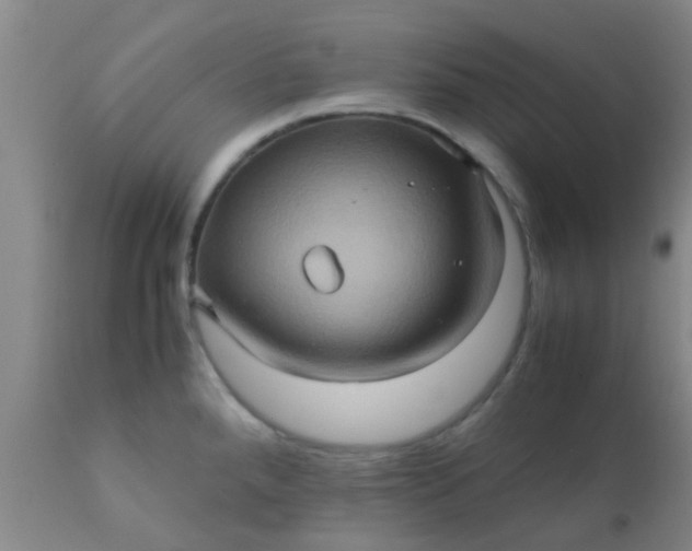 X0000110971288200907022236