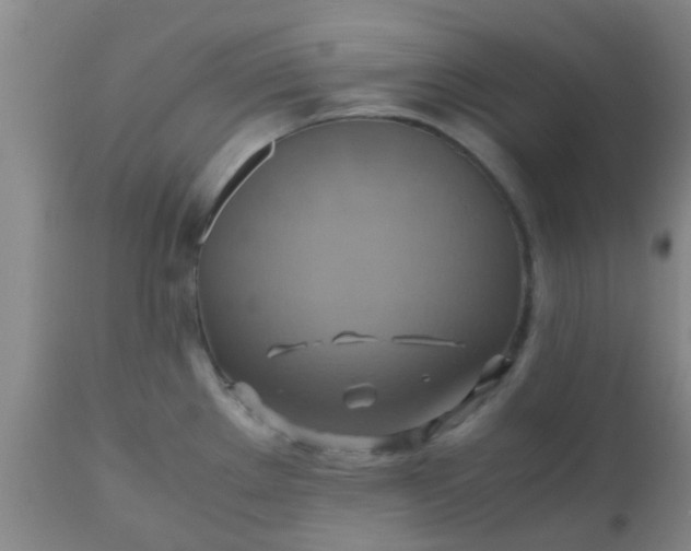 X0000110971289200907022236