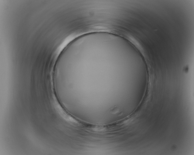 X0000110971291200907022236