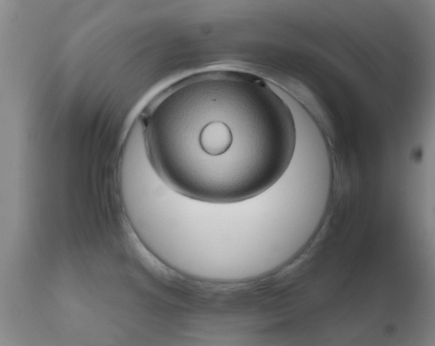 X0000110971292200907022236