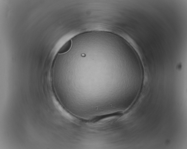 X0000110971293200907022236