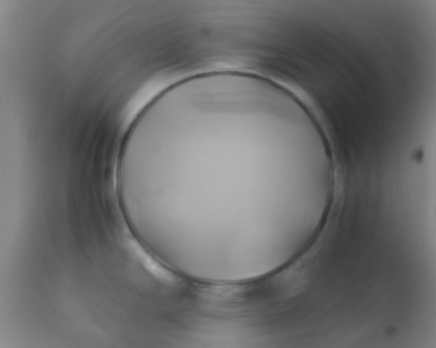 X0000110971294200907022236