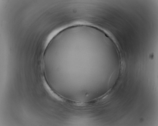 X0000110971295200907022236