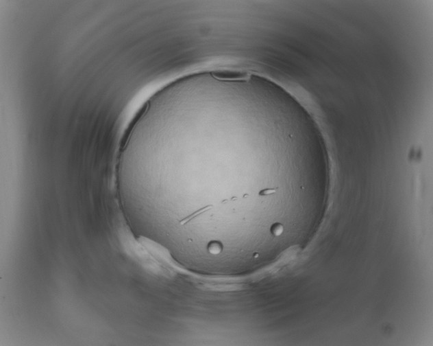 X0000110971296200907022236