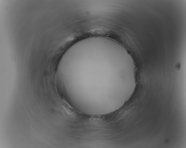 X0000110971297200907022235